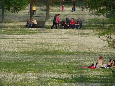 I grandi prati del Parco Urbano. Foto Forlipedia.