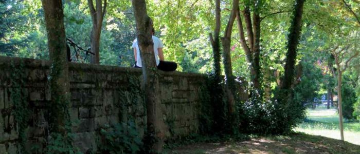 PARCO GINO MANDOLESI