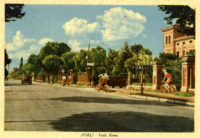Viale Roma in una immagine degli anni '60. Cartolina. Raccolta privata.