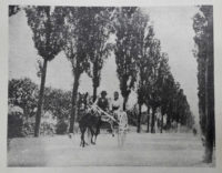 Il viale Del Ronco. Immagine del 1905 tratta da ?La Piè" del 1920.