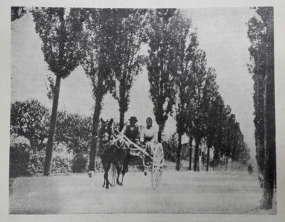 Il viale Del Ronco. Immagine del 1905 tratta da "La Piè" del 1920.