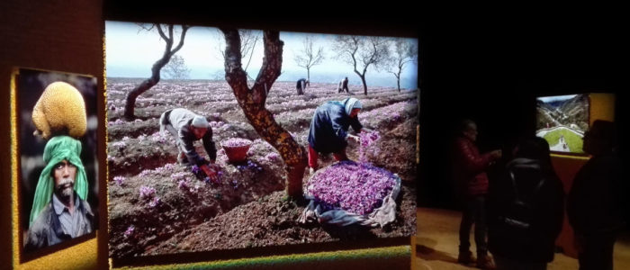 CIBO, STEVE MCCURRY (MOSTRA)