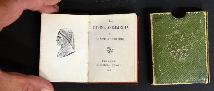 DIVINA COMMEDIA DI 6,5 CENTIMETRI (LIBRO)